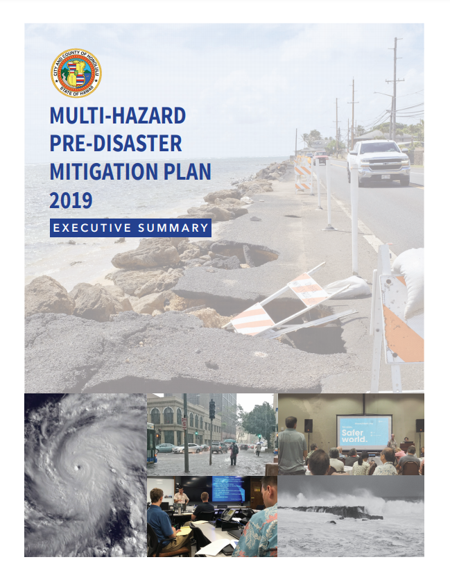 2019 City & County of Honolulu Plan