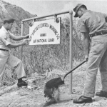 169-to-109-sign-change