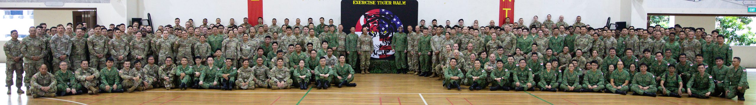 Exercise Tiger Balm 2025