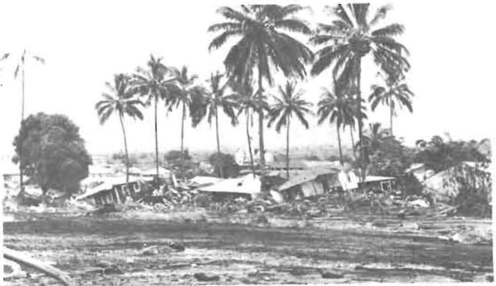 Picture from the 1976 Annual Report