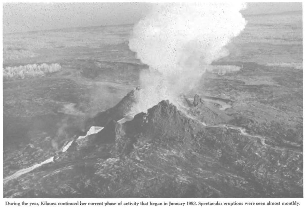 (Pictures from 1984 Annual Report)