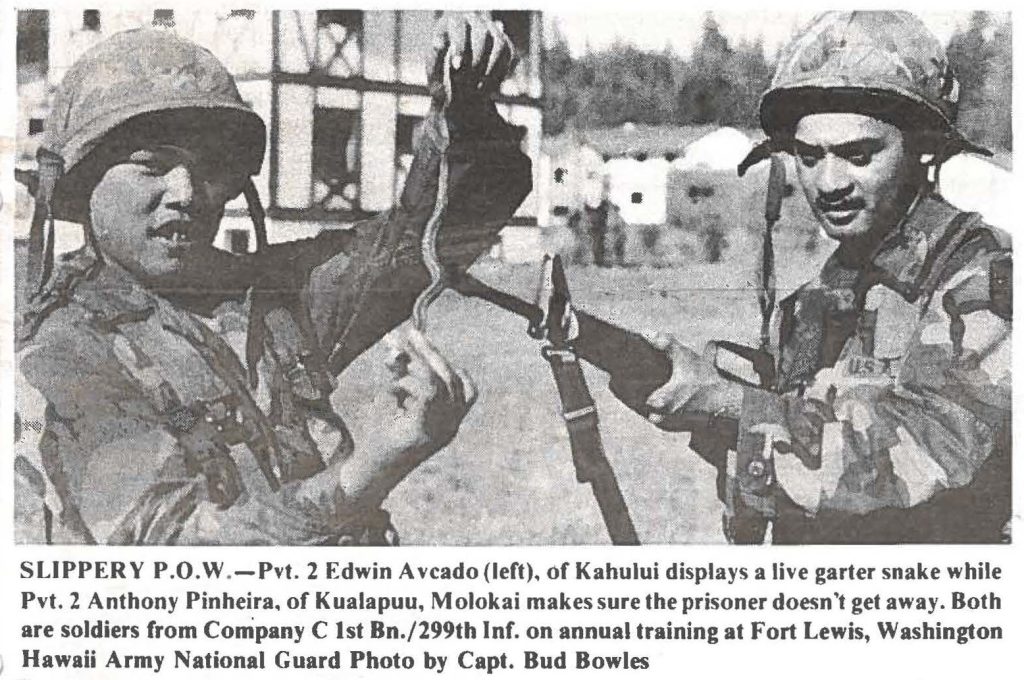 SLIPPERY P.O.W .-Pvt. 2 Edwin Aveado (left), of Kahului displays a live garter snake while Pvt. 2 Anthony Pinheira, of Kualapuu, Molokai makes sure the prisoner doesn't get away. Both are soldiers from Company C 1st Bn./299th Inf. on annual training at Fort Lewis, Washington Hawaii Army National Guard Photo by Capt. Bud Bowles