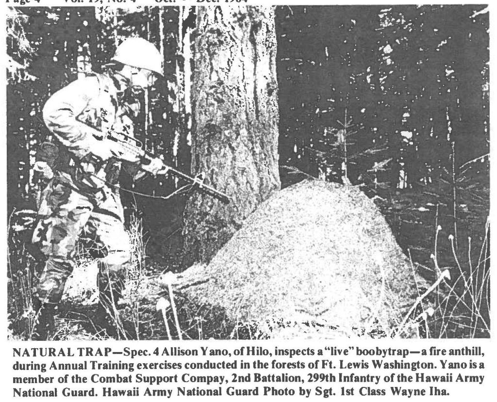 NATURAL TRAP-Spec. 4 Allison Yano, of Hilo, inspects a "live" boobytrap-a fire anthill, during Annual Training exercises conducted in the forests of Ft. Lewis Washington. Yano is a member of the Combat Support Compay, 2nd Battalion, 299th Infantry of the Hawaii Army National Guard. Hawaii Army National Guard Photo by Sgt. 1st Class Wayne Iha.