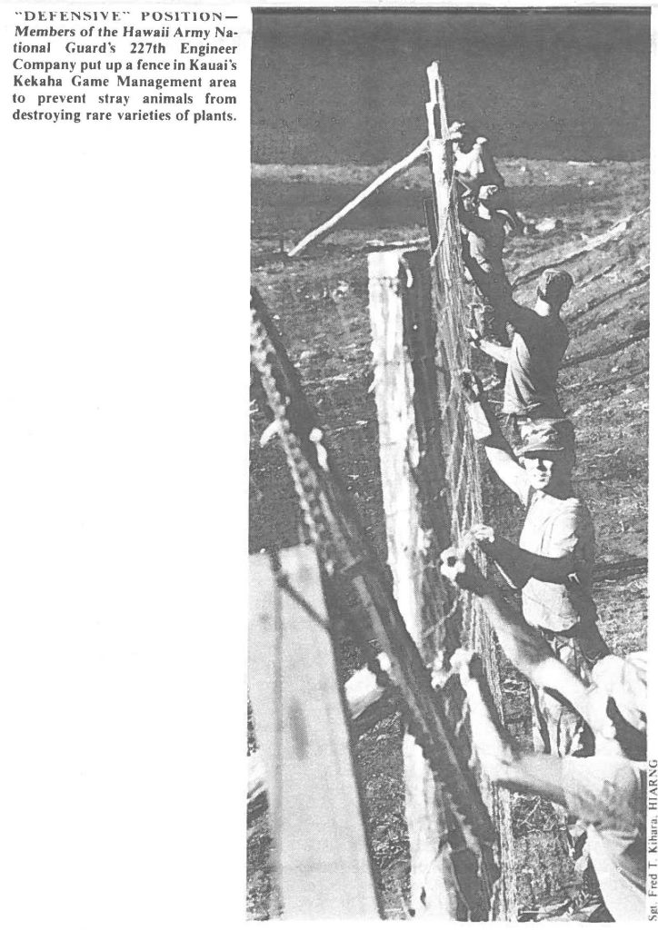 "DEFENSIVE"' POSITION Members of the Hawaii Army National Guard:~ 227th Engineer Company put up a fence in Kauai's
Kekaha Game Management area
to prevent stray animals from destroying rare varieties of plants.