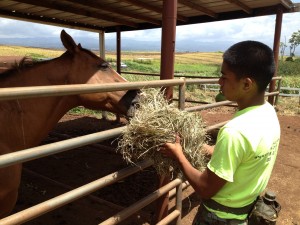 Cadet Teren feeding one of the rescue horses