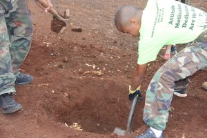 planting-a-tree-10