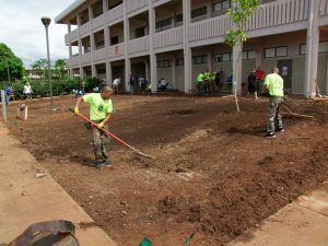 planting-a-tree-11