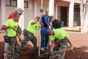 planting-a-tree-4