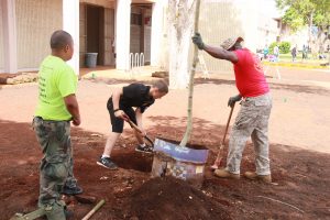 planting-a-tree-6