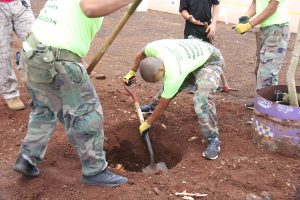 planting-a-tree-7
