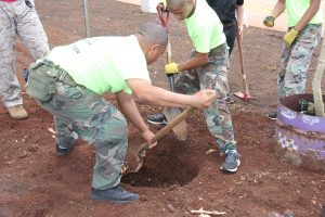 planting-a-tree-8