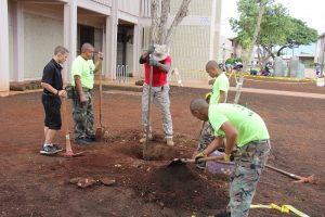 planting-a-tree-sgtmaj-3