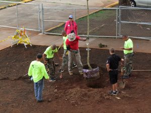planting-a-tree-sgtmaj-6