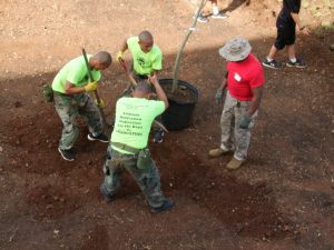 planting-a-tree-sgtmaj-7